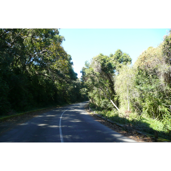 รูปถ่าย แอฟริกาใต้(South Africa) หุบเขาเนเจอร์ส(Nature's Valley) 2008-09 31