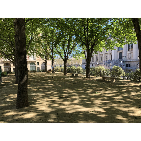 รูปถ่าย ฝรั่งเศส(France) ปารีสช่วงล็อกดาวน์(Paris lockdown) 2020-04 71