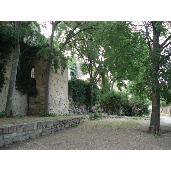 รูปถ่าย ฝรั่งเศส(France) โซเมียร์(Sommieres) 2006-06 62