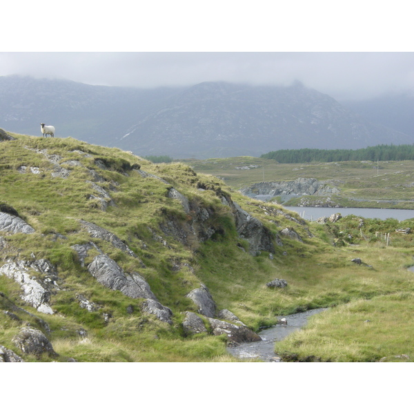 รูปถ่าย ไอร์แลนด์(Ireland) คอนเนอมารา(Connemara) 2003-09 71