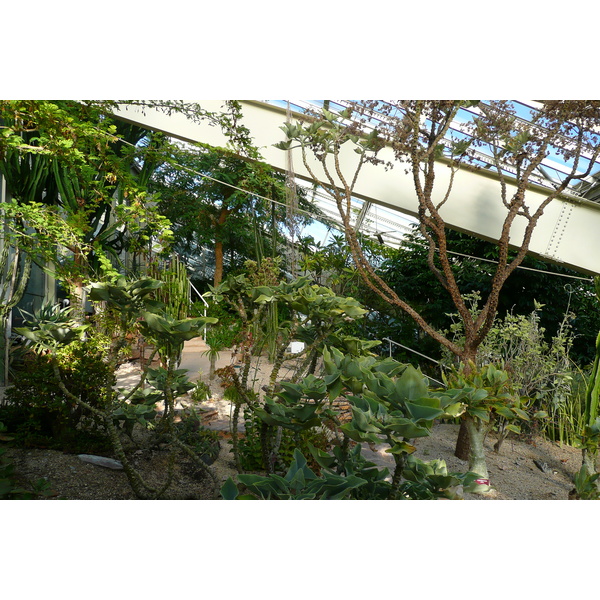 รูปถ่าย ฝรั่งเศส(France) นีส(Nice) สวนฟีนิกซ์(Phoenix Parc) 2007-10 4