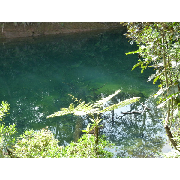 รูปถ่าย นิวแคลิโดเนีย(New Caledonia) อุทยานริเวียร์เบลอ(Parc de la Riviere Bleue) โรงแรมเลอกร็องกาโอรี(Le Grand Kaori) 2010-05 6