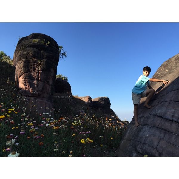 รูปถ่าย ไทย(Thailand) อุทยานแห่งชาติภูหินร่องกล้า(Phu Hin Rong Kla National Park) 2014-12 427