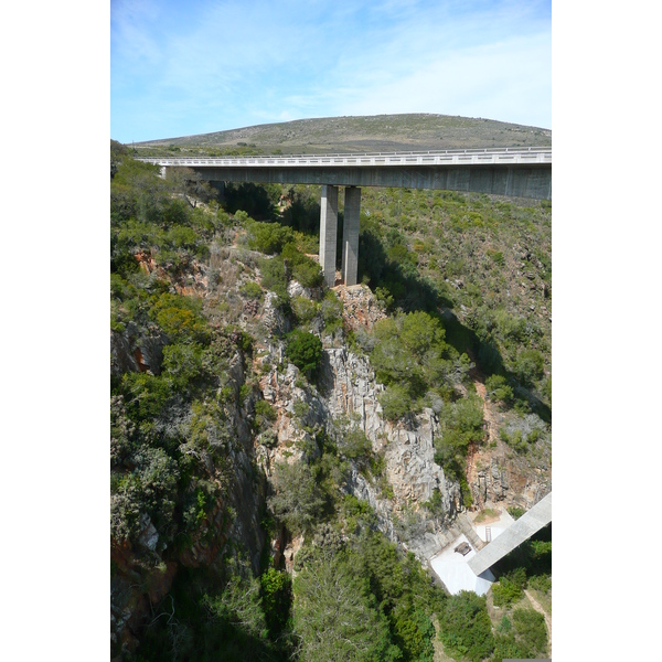 รูปถ่าย แอฟริกาใต้(South Africa) ถนนจากเฮอร์มานัสไปไนส์นา(Harmanus to Knysna road) 2008-09 68