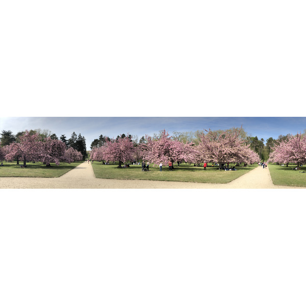 รูปถ่าย ฝรั่งเศส(France) สวนโซ(Parc de Sceaux) 2019-04 69