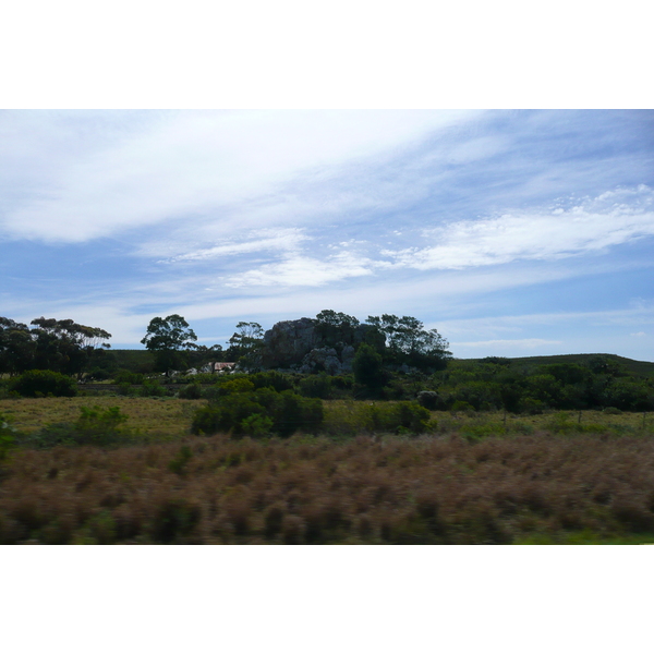 รูปถ่าย แอฟริกาใต้(South Africa) ถนนจากเฮอร์มานัสไปไนส์นา(Harmanus to Knysna road) 2008-09 116