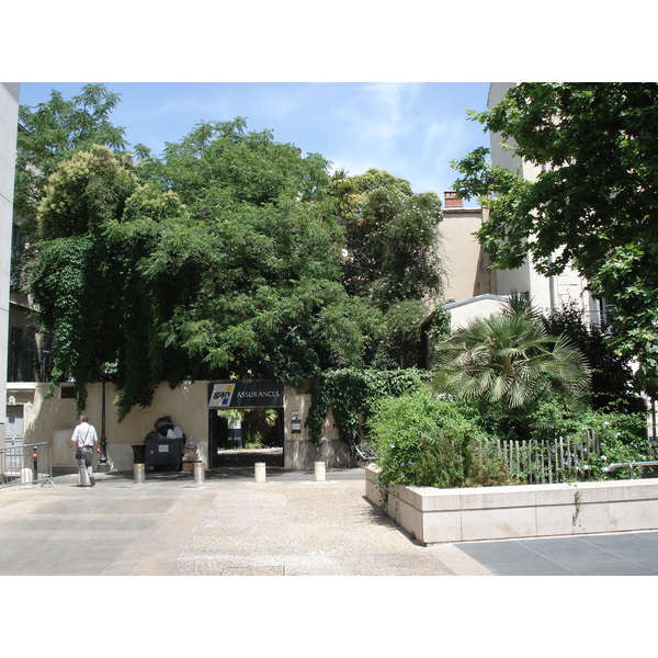 รูปถ่าย ฝรั่งเศส(France) มงเปลลีเยร์(Montpellier) 2006-06 15