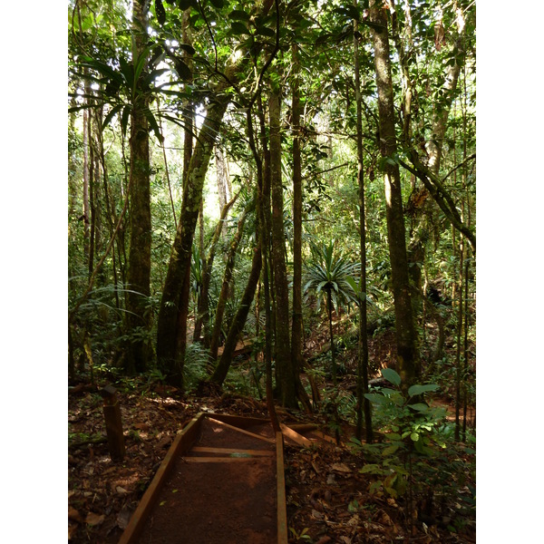 รูปถ่าย นิวแคลิโดเนีย(New Caledonia) อุทยานริเวียร์เบลอ(Parc de la Riviere Bleue) โรงแรมเลอกร็องกาโอรี(Le Grand Kaori) 2010-05 14