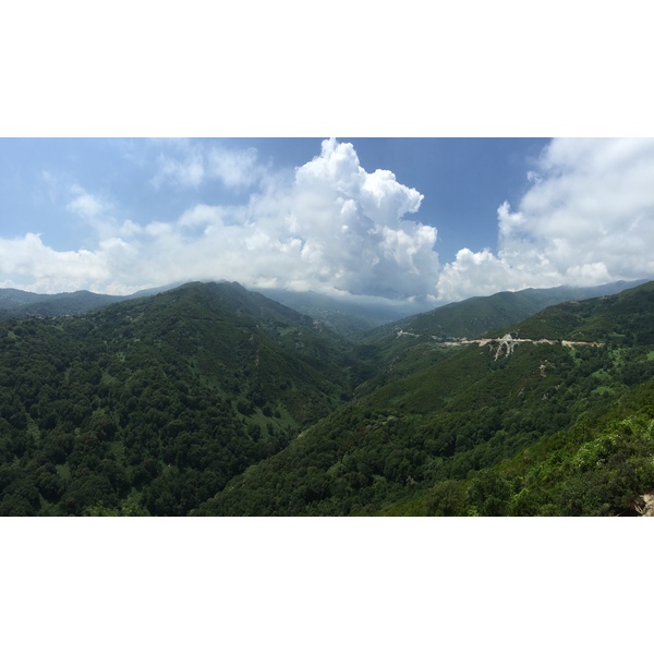 รูปถ่าย ฝรั่งเศส(France) คอร์สิคา(Corsica) กัสตาญิชชา(Castagniccia) 2015-05 3