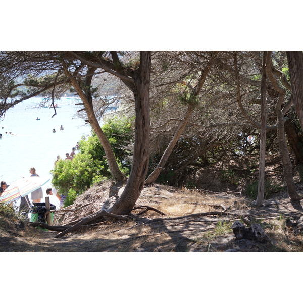 รูปถ่าย ฝรั่งเศส(France) คอร์สิคา(Corsica) หาดซันตาจูเลีย(Santa Giulia Beach) 2017-07 40