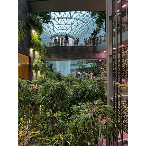 รูปถ่าย สิงคโปร์(Singapore) ท่าอากาศยานชางงี สิงคโปร์(Singapore Changi Airport) 2023-01 56