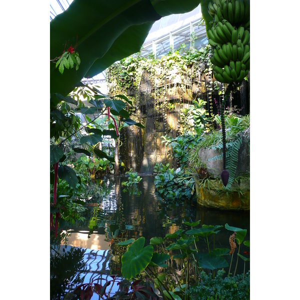 รูปถ่าย ฝรั่งเศส(France) นีส(Nice) สวนฟีนิกซ์(Phoenix Parc) 2007-10 28