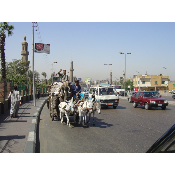 รูปถ่าย อียิปต์(Egypt) ไคโร(Cairo) 2004-09 71