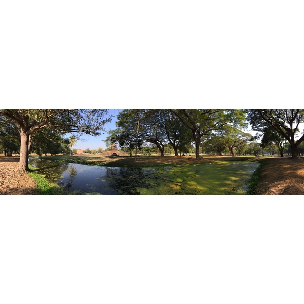 รูปถ่าย ไทย(Thailand) สุโขทัย(Sukhothai) 2014-12 38