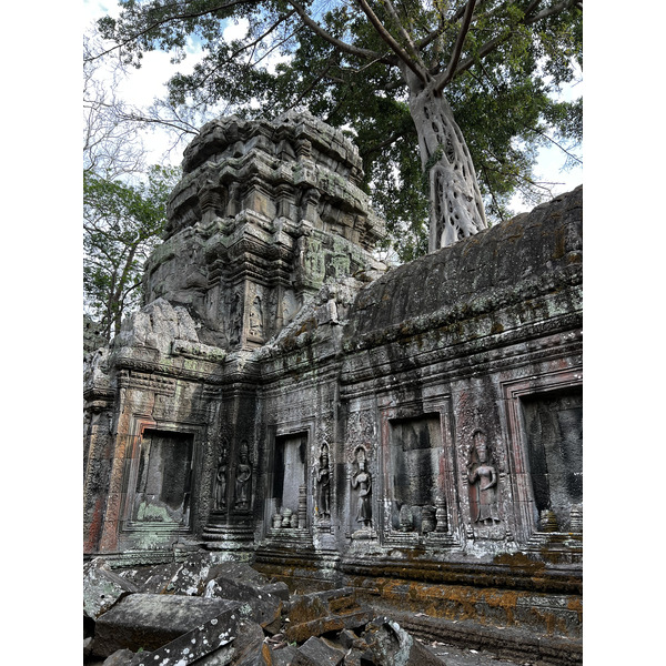 รูปถ่าย กัมพูชา(Cambodia) เสียมราฐ(Siem Reap) ปราสาทตาพรหม(Ta Prohm) 2023-01 153