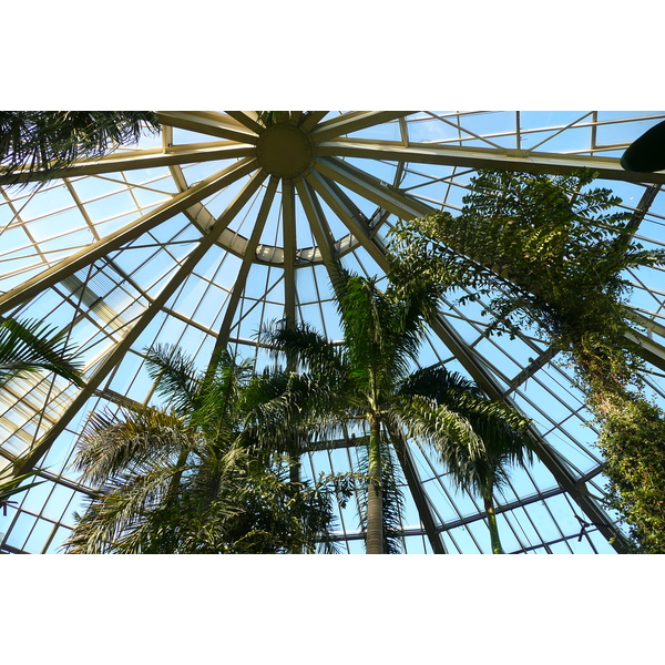 รูปถ่าย ฝรั่งเศส(France) นีส(Nice) สวนฟีนิกซ์(Phoenix Parc) 2007-10 102