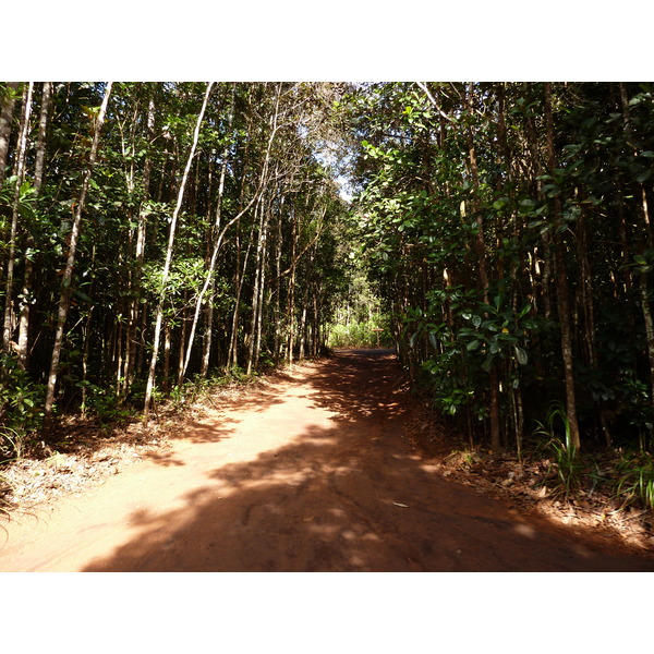 รูปถ่าย นิวแคลิโดเนีย(New Caledonia) อุทยานริเวียร์เบลอ(Parc de la Riviere Bleue) โรงแรมเลอกร็องกาโอรี(Le Grand Kaori) 2010-05 15