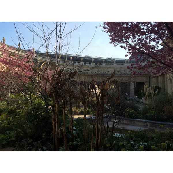 รูปถ่าย ฝรั่งเศส(France) ปารีส(Paris) ปตีปาเล(Petit Palais) 2016-03 30