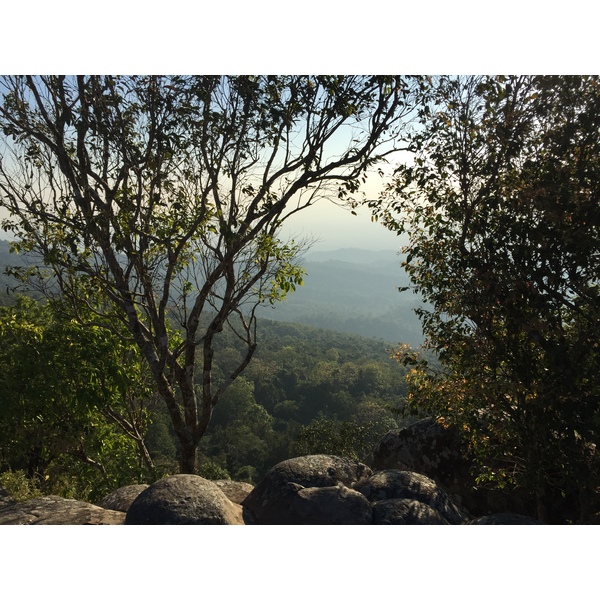 รูปถ่าย ไทย(Thailand) อุทยานแห่งชาติภูหินร่องกล้า(Phu Hin Rong Kla National Park) 2014-12 356
