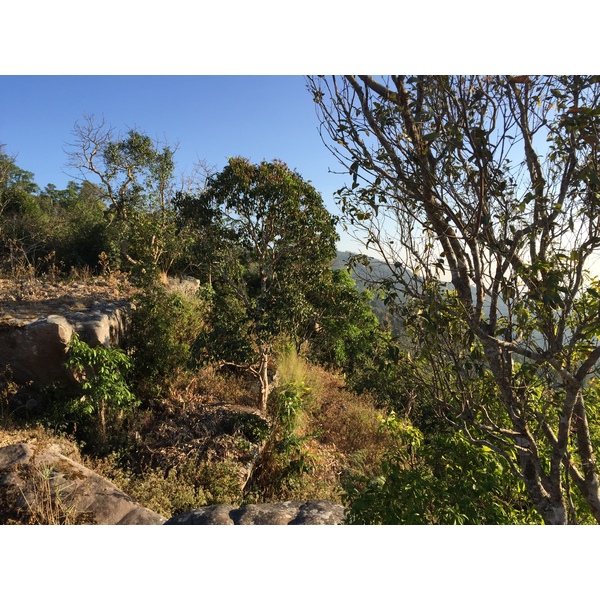 รูปถ่าย ไทย(Thailand) อุทยานแห่งชาติภูหินร่องกล้า(Phu Hin Rong Kla National Park) 2014-12 317