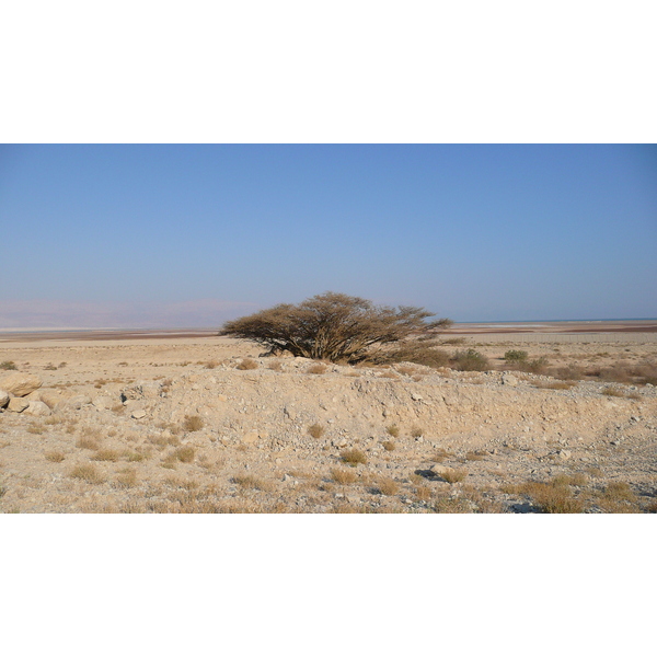 รูปถ่าย อิสราเอล(Israel) ทะเลดำ(Dead Sea) 2007-06 178