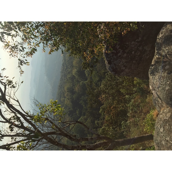 รูปถ่าย ไทย(Thailand) อุทยานแห่งชาติภูหินร่องกล้า(Phu Hin Rong Kla National Park) 2014-12 390