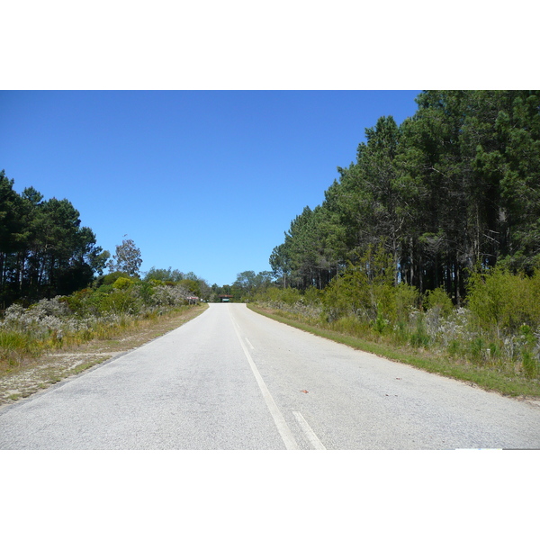 รูปถ่าย แอฟริกาใต้(South Africa) ถนนจากไนส์นาไปพอร์ตเอลิซาเบธ(Knysna to Port Elizabeth road) 2008-09 16