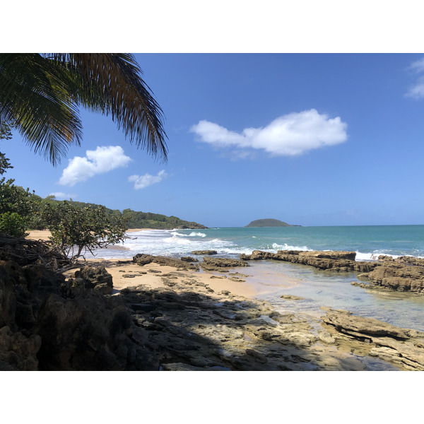 รูปถ่าย กวาเดอลูป(Guadeloupe) หาดกลูญี(Clugny Beach) 2021-02 3