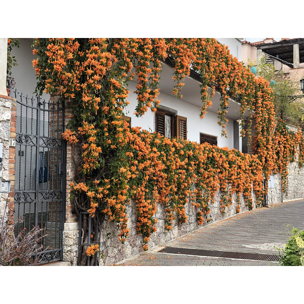 รูปถ่าย อิตาลี(Italy) ซิซิลี(Sicily) ตาออร์มีนา(Taormina) 2020-02 96