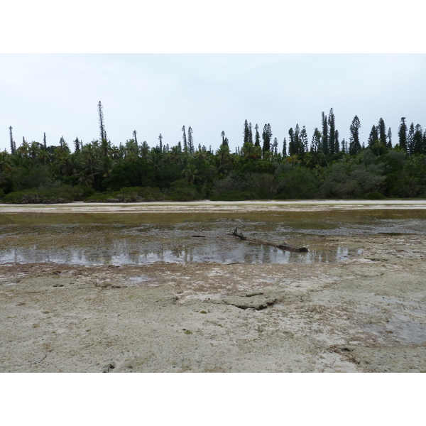 รูปถ่าย นิวแคลิโดเนีย(New Caledonia) เกาะต้นสน(Ile des pins) อ่าวโอโร(Oro Bay) 2010-05 38