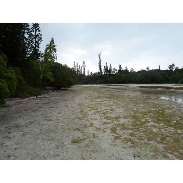 รูปถ่าย นิวแคลิโดเนีย(New Caledonia) เกาะต้นสน(Ile des pins) อ่าวโอโร(Oro Bay) 2010-05 86