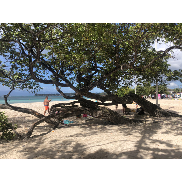 รูปถ่าย กวาเดอลูป(Guadeloupe) แซ็งตาน(Sainte Anne) 2021-02 115