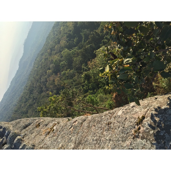 รูปถ่าย ไทย(Thailand) อุทยานแห่งชาติภูหินร่องกล้า(Phu Hin Rong Kla National Park) 2014-12 345