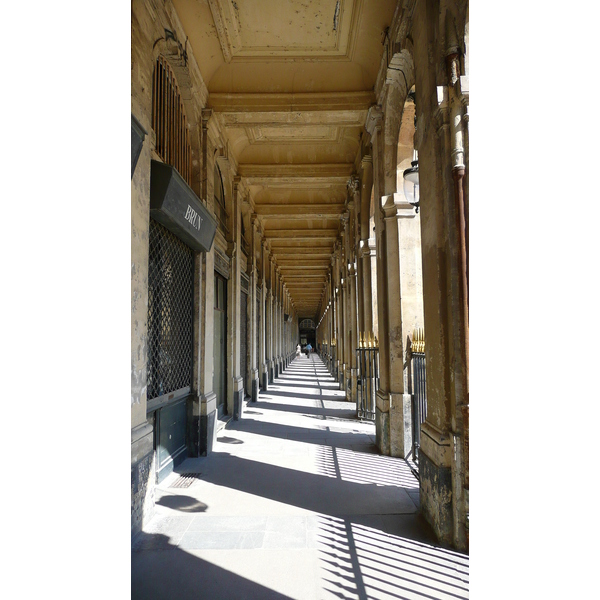 รูปถ่าย ฝรั่งเศส(France) ปารีส(Paris) พระราชวังปาแลรัวยาล(Palais Royal) 2007-08 12