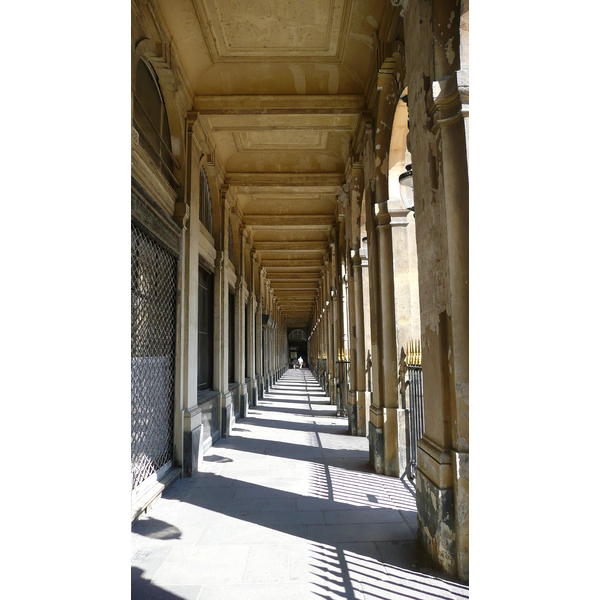รูปถ่าย ฝรั่งเศส(France) ปารีส(Paris) พระราชวังปาแลรัวยาล(Palais Royal) 2007-08 7