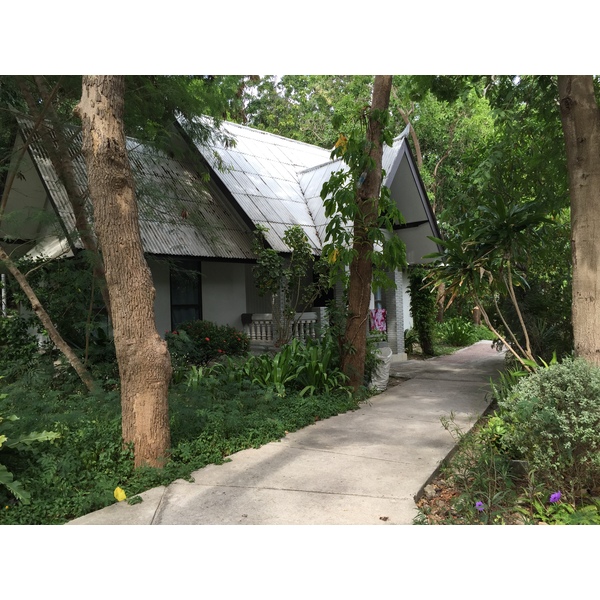 รูปถ่าย ไทย(Thailand) เกาะเสม็ด(Ko Samet) 2014-12 353