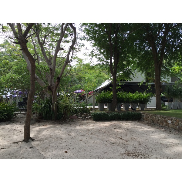 รูปถ่าย ไทย(Thailand) เกาะเสม็ด(Ko Samet) 2014-12 332