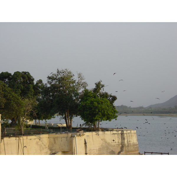 รูปถ่าย อินเดีย(India) อูไดปูร์(Udaipur) 2003-05 166