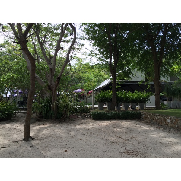 รูปถ่าย ไทย(Thailand) เกาะเสม็ด(Ko Samet) 2014-12 310
