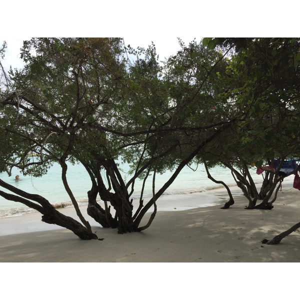 รูปถ่าย ไทย(Thailand) เกาะเสม็ด(Ko Samet) 2014-12 283