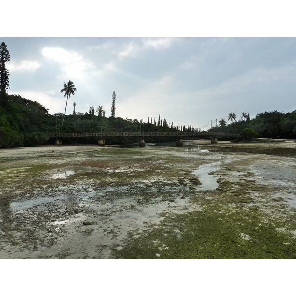 รูปถ่าย นิวแคลิโดเนีย(New Caledonia) เกาะต้นสน(Ile des pins) อ่าวโอโร(Oro Bay) 2010-05 85