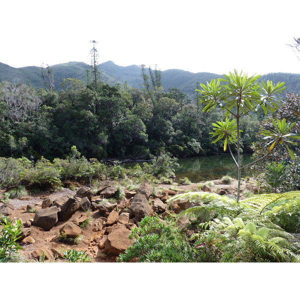 รูปถ่าย นิวแคลิโดเนีย(New Caledonia) อุทยานริเวียร์เบลอ(Parc de la Riviere Bleue) 2010-05 144