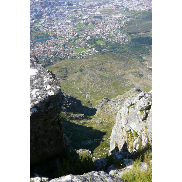 รูปถ่าย แอฟริกาใต้(South Africa) เคปทาวน์(Cape Town) ภูเขาเทเบิล(Table Mountain) 2008-09 72