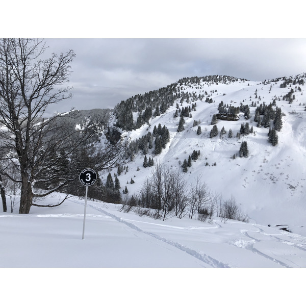 รูปถ่าย ฝรั่งเศส(France) ปรา-ซูร์-อาร์ลี(Praz sur Arly) 2019-12 25