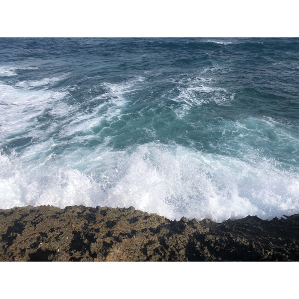 รูปถ่าย กวาเดอลูป(Guadeloupe) แหลมคาสเซิลพอยต์(Castle Point) 2021-02 143