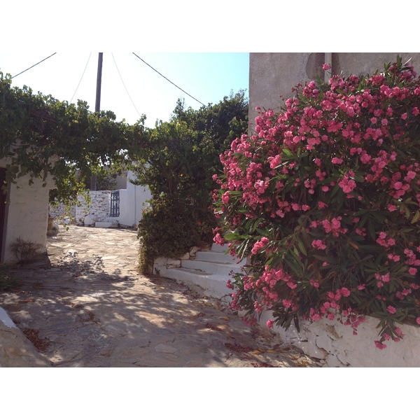 รูปถ่าย กรีก(Greece) เกาะอามอร์กอส(Amorgos) 2014-07 344