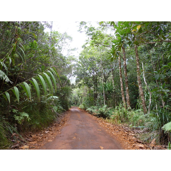 รูปถ่าย นิวแคลิโดเนีย(New Caledonia) อุทยานริเวียร์เบลอ(Parc de la Riviere Bleue) 2010-05 98