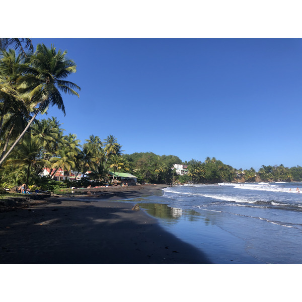 รูปถ่าย กวาเดอลูป(Guadeloupe) บานาเนีย(Bananier) 2021-02 13