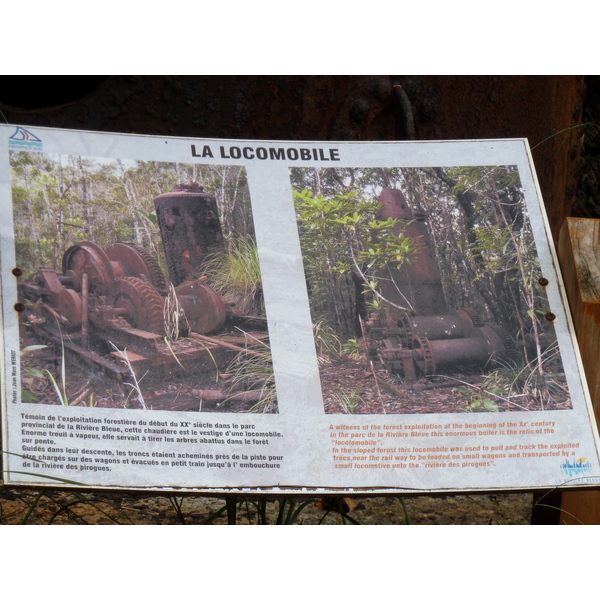 รูปถ่าย นิวแคลิโดเนีย(New Caledonia) อุทยานริเวียร์เบลอ(Parc de la Riviere Bleue) 2010-05 77