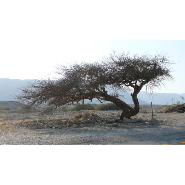 รูปถ่าย อิสราเอล(Israel) ทะเลดำ(Dead Sea) 2007-06 19
